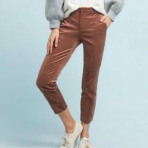 Elegant Brown Women's Pants
